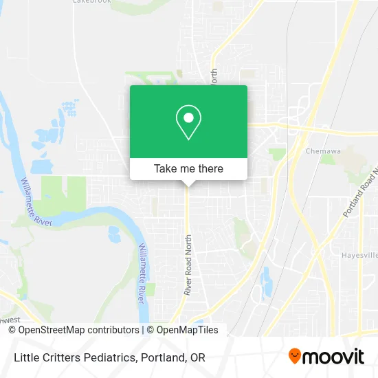 Little Critters Pediatrics map