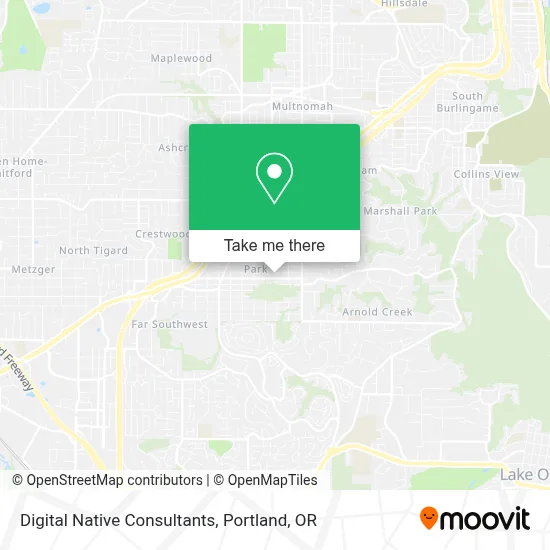 Digital Native Consultants map