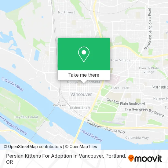 Persian Kittens For Adoption In Vancouver map