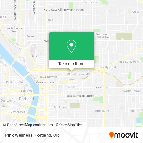 Pink Wellness map