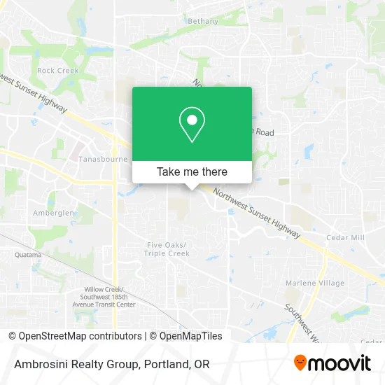 Ambrosini Realty Group map