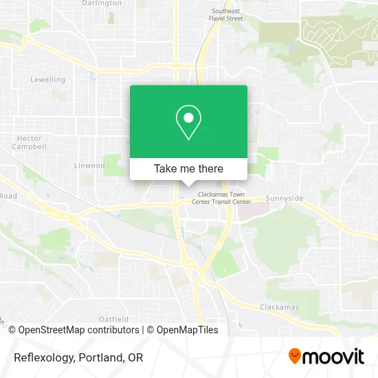 Reflexology map