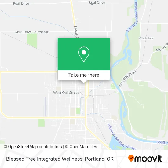 Blessed Tree Integrated Wellness map