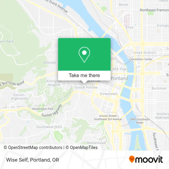 Wise Self map