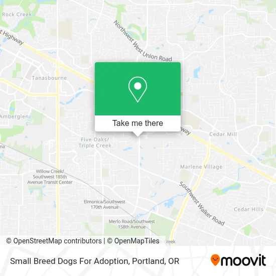 Small Breed Dogs For Adoption map