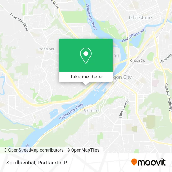 Skinfluential map