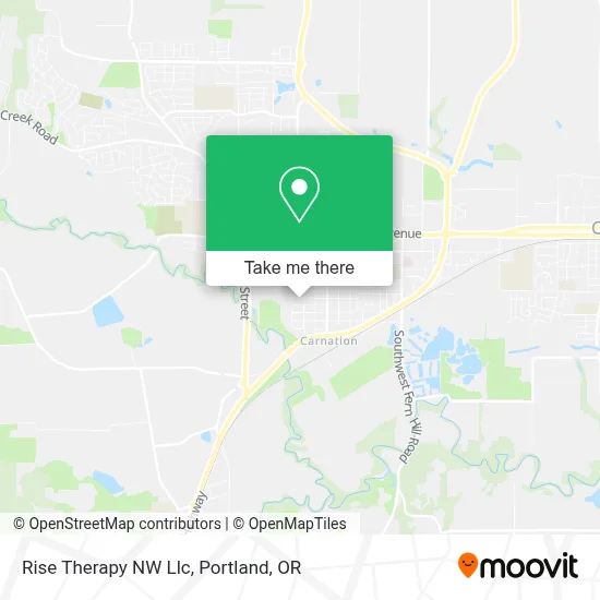 Rise Therapy NW Llc map