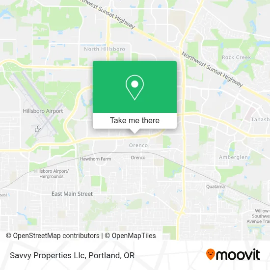 Savvy Properties Llc map