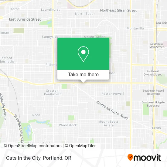 Cats In the City map