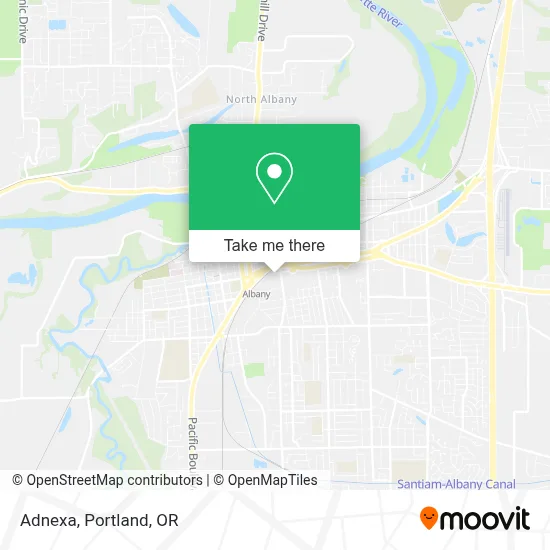 Adnexa map
