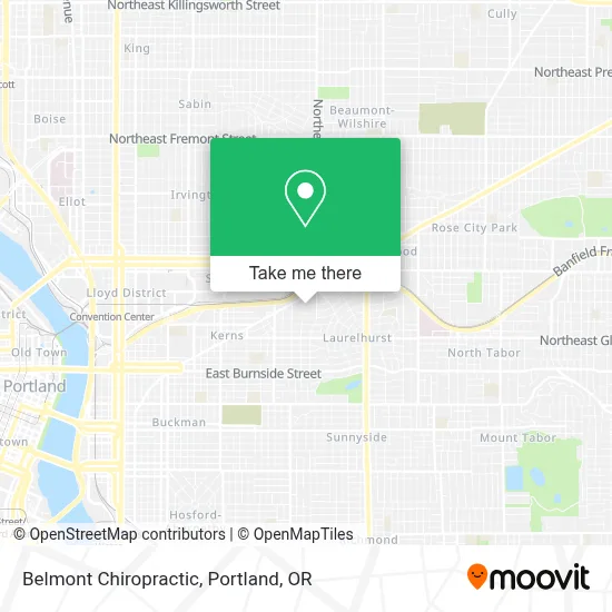 Belmont Chiropractic map