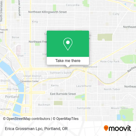 Erica Grossman Lpc map