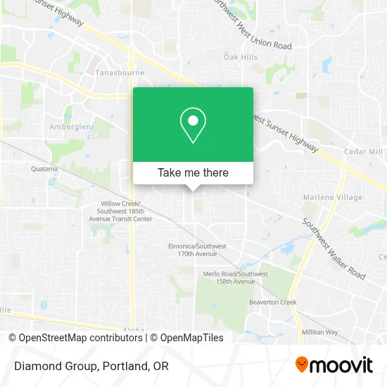 Diamond Group map