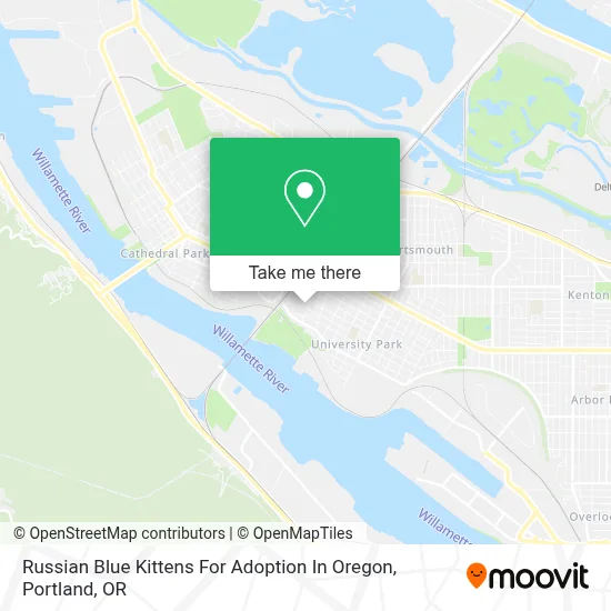 Russian Blue Kittens For Adoption In Oregon map