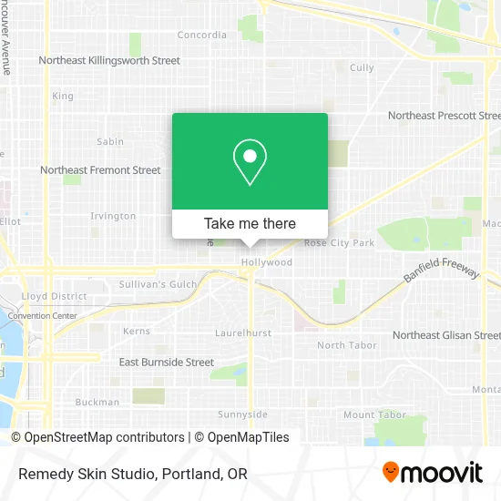 Remedy Skin Studio map