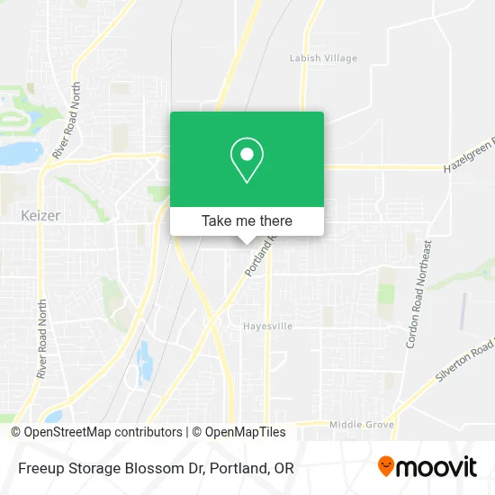 Freeup Storage Blossom Dr map