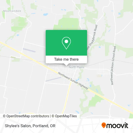 Shylee's Salon map