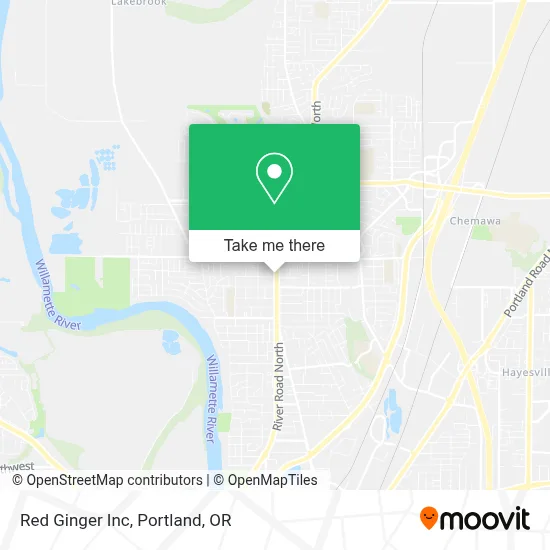 Red Ginger Inc map