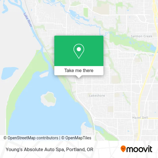 Young's Absolute Auto Spa map