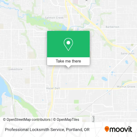 Professional Locksmith Service map