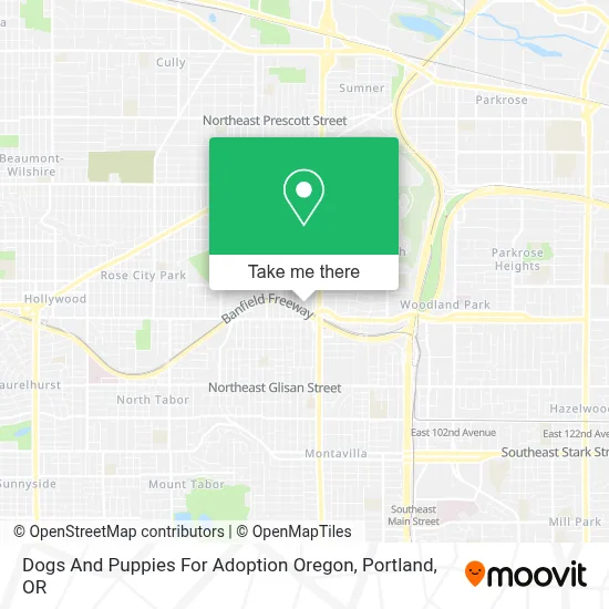Dogs And Puppies For Adoption Oregon map