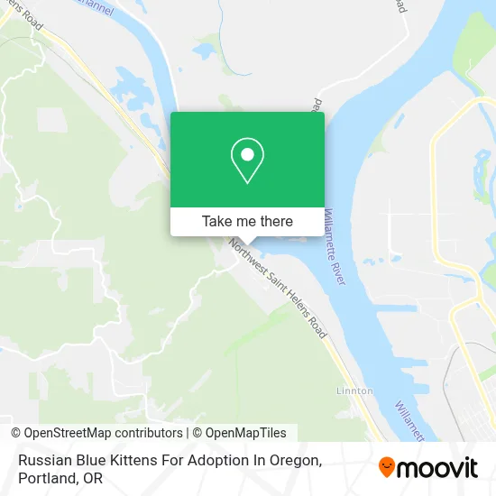 Russian Blue Kittens For Adoption In Oregon map