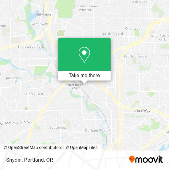 Snyder map