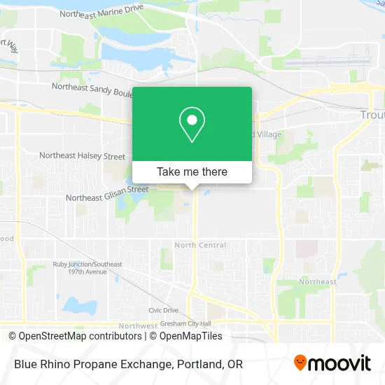 Blue Rhino Propane Exchange map