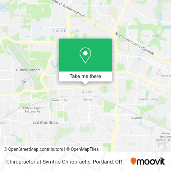 Chiropractor at Symtrio Chiropractic map
