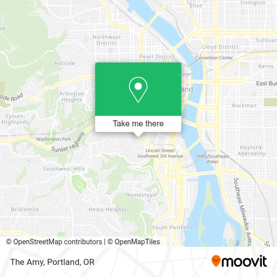 The Amy map