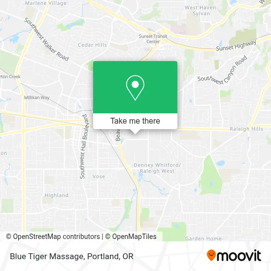 Blue Tiger Massage map