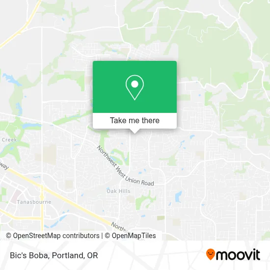 Bic's Boba map