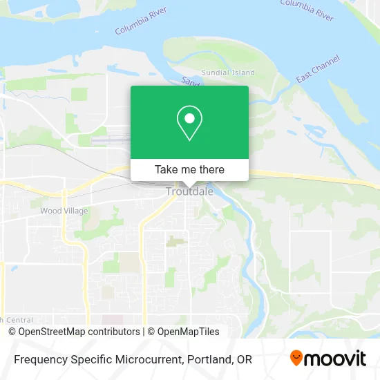 Frequency Specific Microcurrent map
