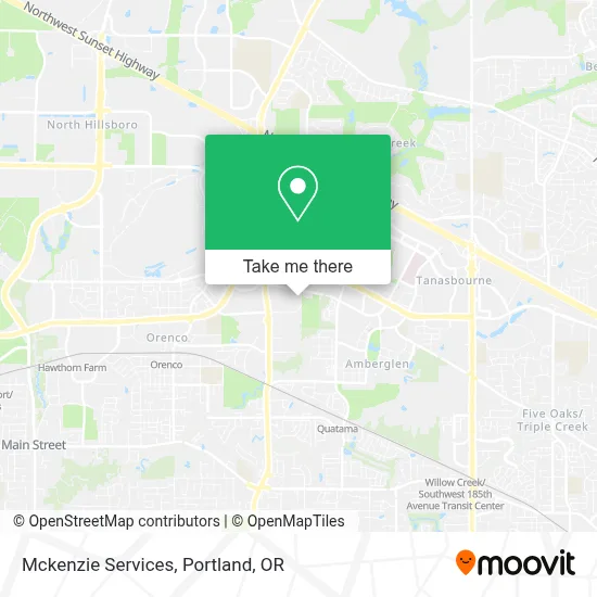 Mckenzie Services map