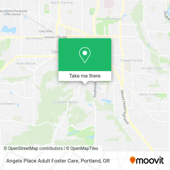 Angels Place Adult Foster Care map