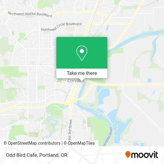 Odd Bird Cafe map