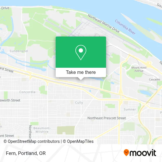 Fern map