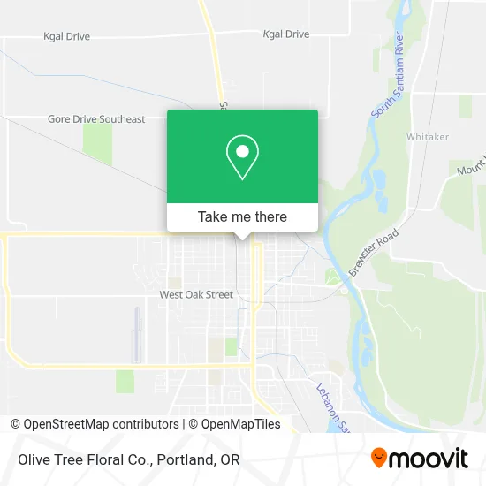 Olive Tree Floral Co. map