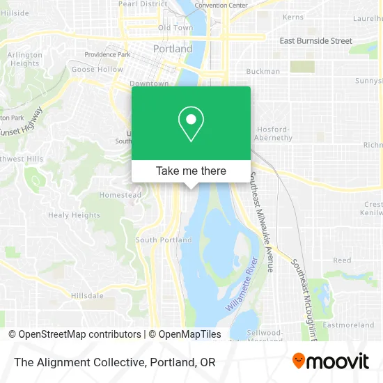 The Alignment Collective map