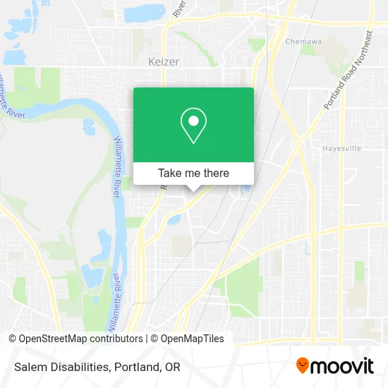 Salem Disabilities map