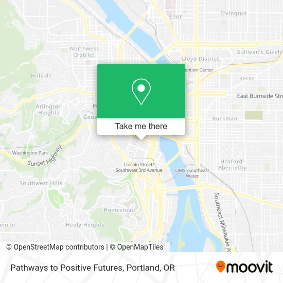 Pathways to Positive Futures map