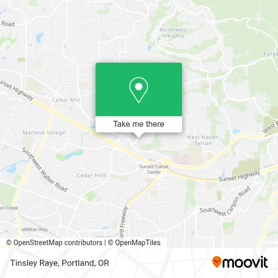 Tinsley Raye map