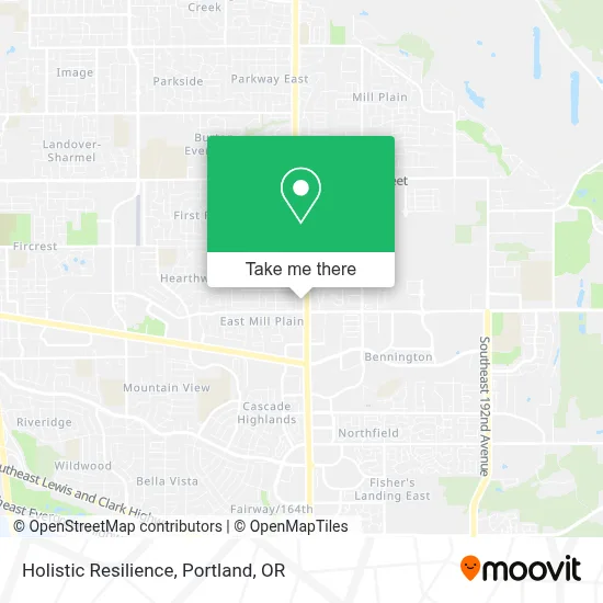 Holistic Resilience map