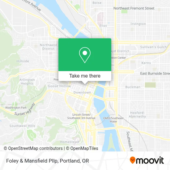 Foley & Mansfield Pllp map