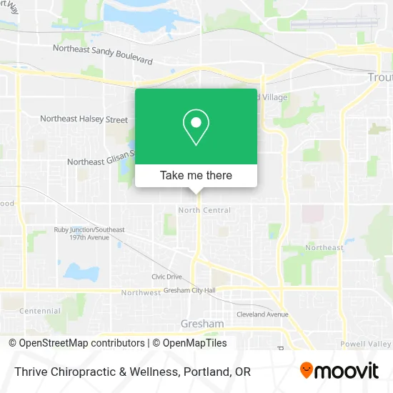 Thrive Chiropractic & Wellness map