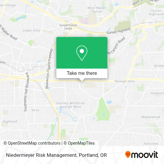 Niedermeyer Risk Management map