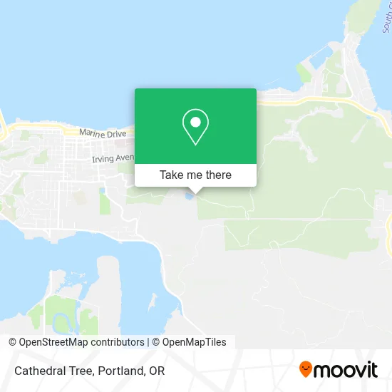 Cathedral Tree map
