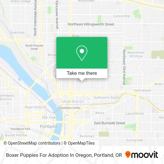 Boxer Puppies For Adoption In Oregon map