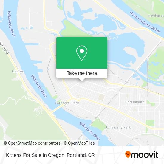 Kittens For Sale In Oregon map