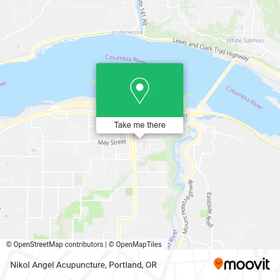 Nikol Angel Acupuncture map